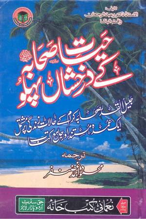 حیات صحابہ کے درخشاں پہلو  -عام