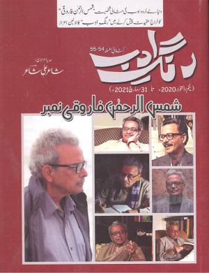 رنگ ادب  شمس الرحمن فاروقی نمبر